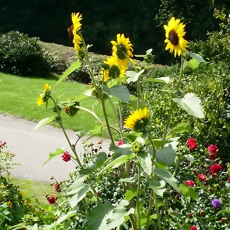 Christianshof אופנאו