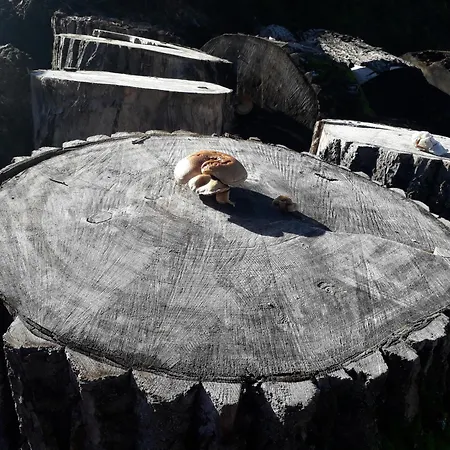 Christianshof בית חווה *