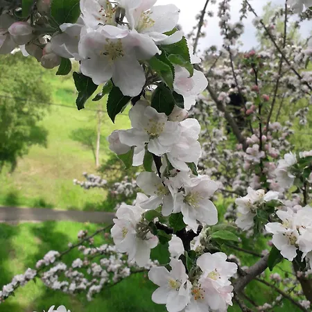 בית חווה Christianshof *