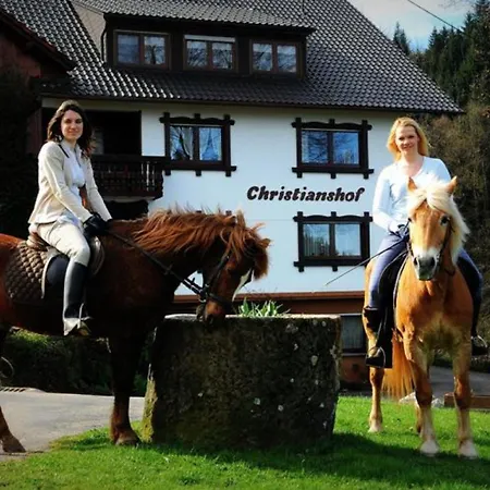Christianshof Farmház Oppenau